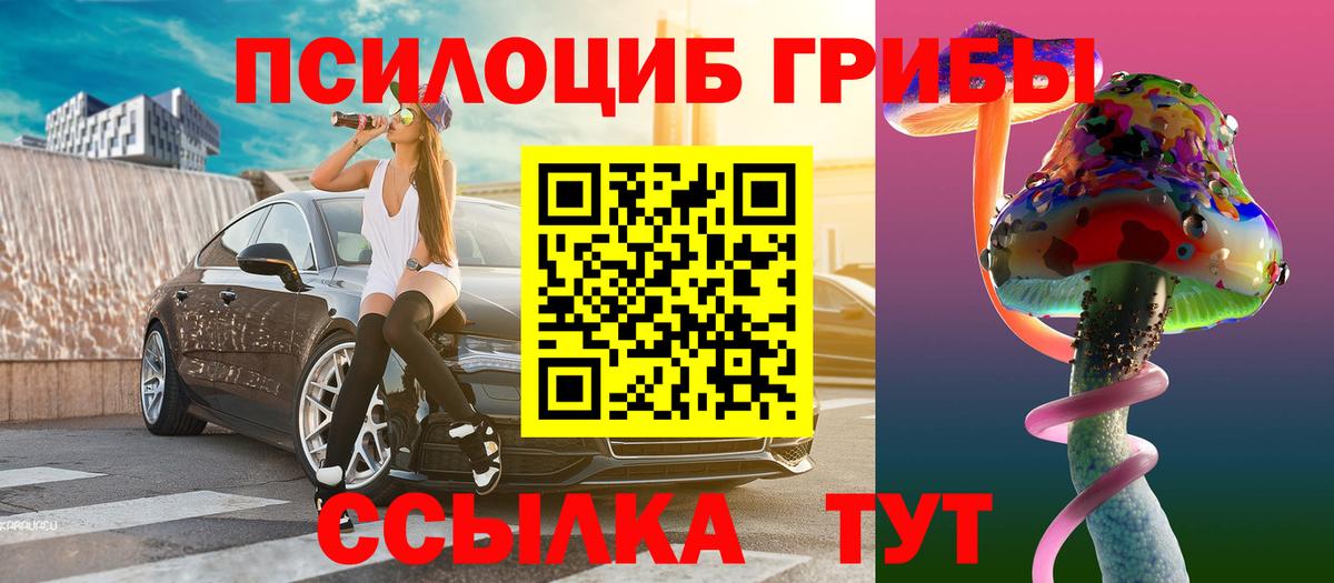 Серов  Псилоцибиновые грибы Psilocybe  цена наркотик  Вход с VPN 